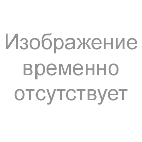 Увеличить Гортензия метельчатая Вайт Лайт (Whitelight ) С3