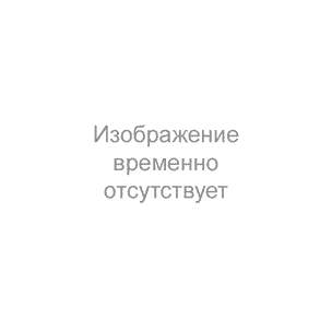 Гортензия метельчатая Вайт Лайт (Whitelight ) С3